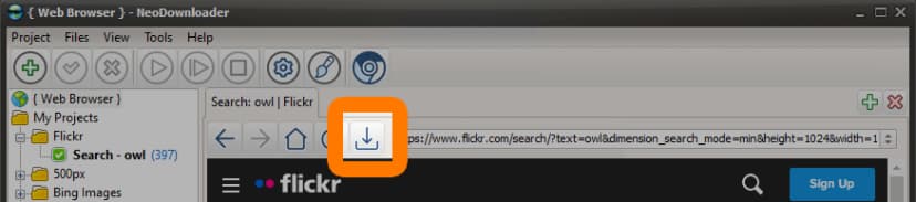 Download button in NeoDownloader toolbar — bulk download Flickr photos