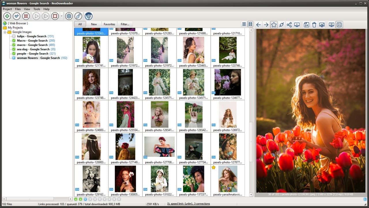 Bulk image downloader and gallery downloader software for Windows - download images from any website